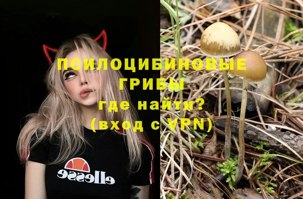 индика Наволоки