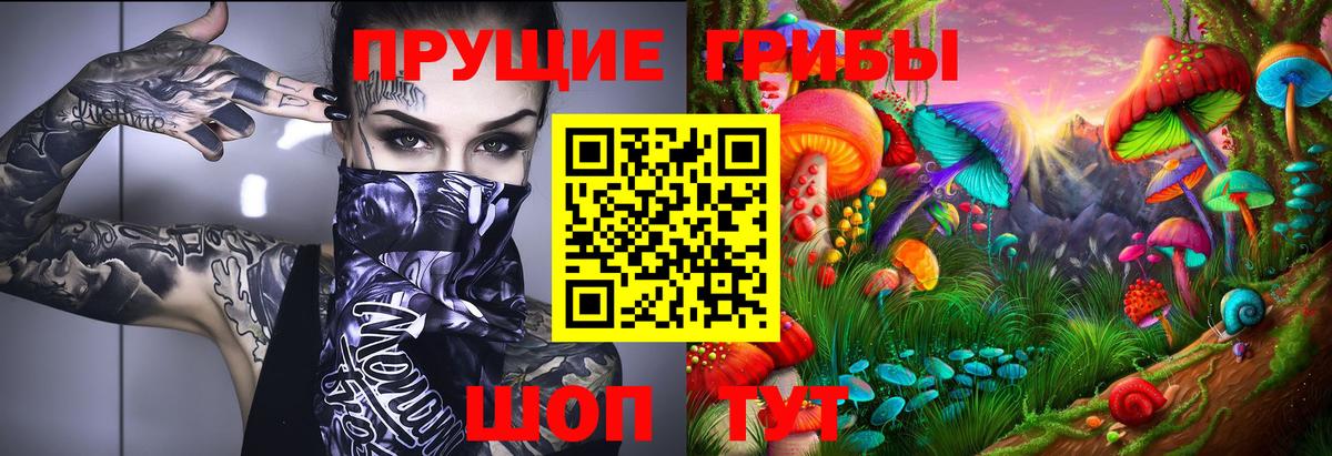 Псилоцибиновые грибы Psilocybe Петропавловск-Камчатский