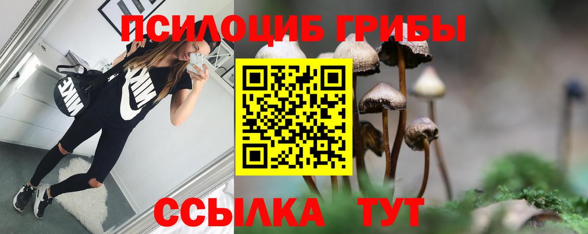 Галлюциногенные грибы Psilocybine cubensis  Вход с VPN  где купить наркоту  Петропавловск-Камчатский  Галлюциногенные грибы ЛСД 