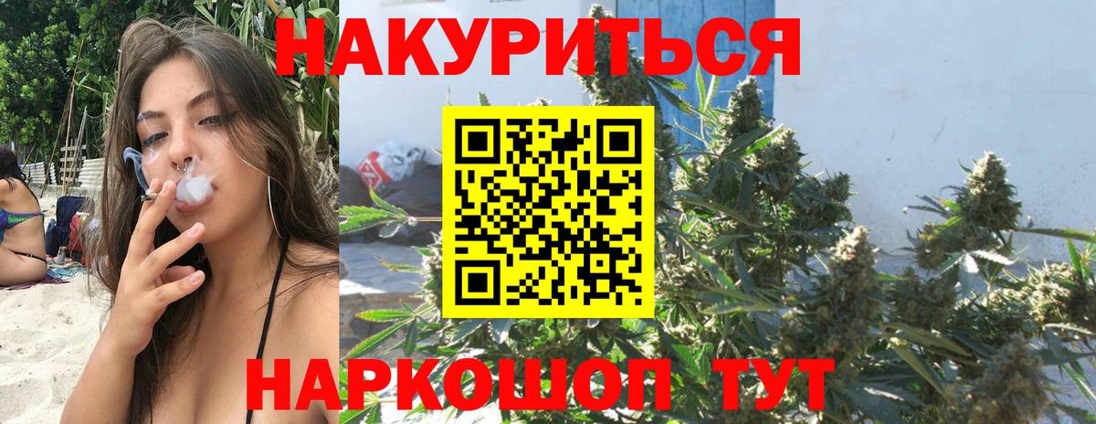 НБОМе Петропавловск-Камчатский